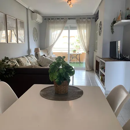 Paradise777 دينايا